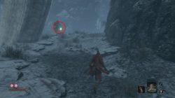 sekiro how to get snap seed
