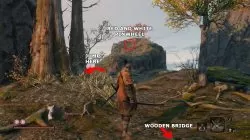 sekiro red and white pinwheel location path to white flower