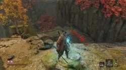 sekiro treasure carp senpou temple