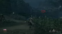 sekiro where to find carp scales