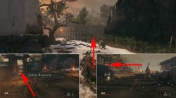 where to find dive ability in sekiro