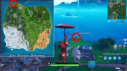 where to find furthest north place in fortnite weekly challenge