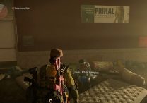 division 2 bsav samples where to use