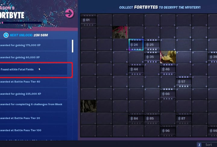 fortnite fortbyte 24 found within fatal fields