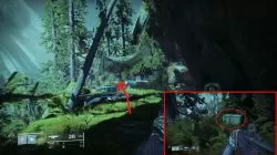 destiny 2 how to get lumina exotic weapon