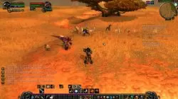 wow classic sunscale screecher scytheclaw locations