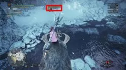 animals in mhw iceborne how to ride