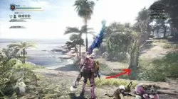 mhw ancient forest sharing is caring 3 location