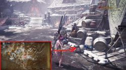mhw poogie outfit pretty in pink location