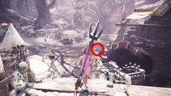 monster hunter world how to bring poogie to seliana in iceborne