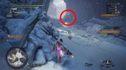 poogie monster hunter world iceborne how to bring to seliana