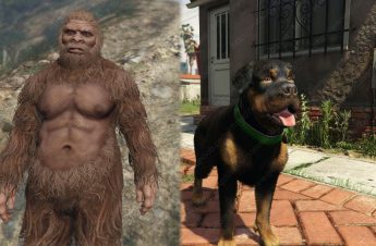 Peyote plant locations Archives - GosuNoob.com Video Game News & Guides