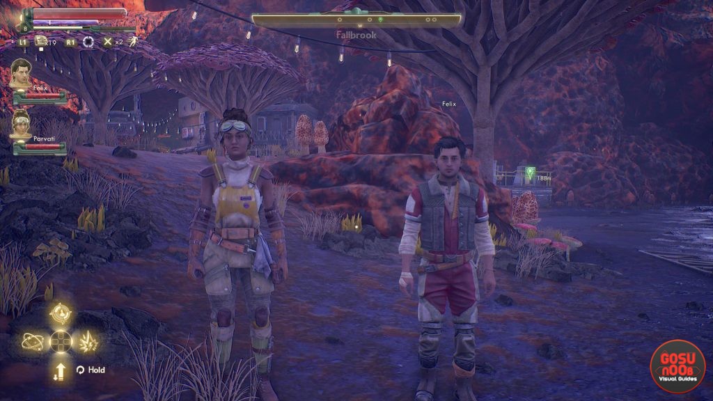 Outer Worlds Remove Helmet From Companion