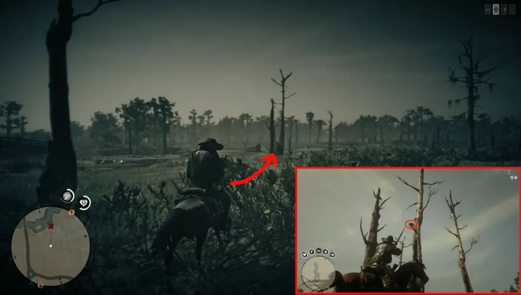 rdo how to get egret egg