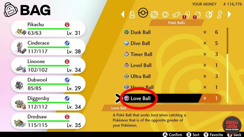 Love Ball Location in Pokemon Sword & Shield