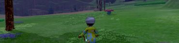 Night and Day Cycle in Pokemon Sword & Shield