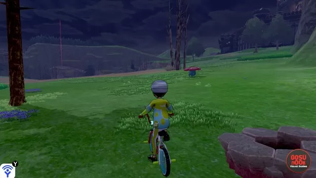 Night and Day Cycle in Pokemon Sword & Shield