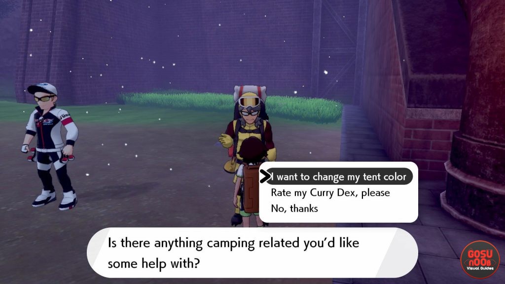 Pokemon Sword & Shield Change Color of the Camp Tent