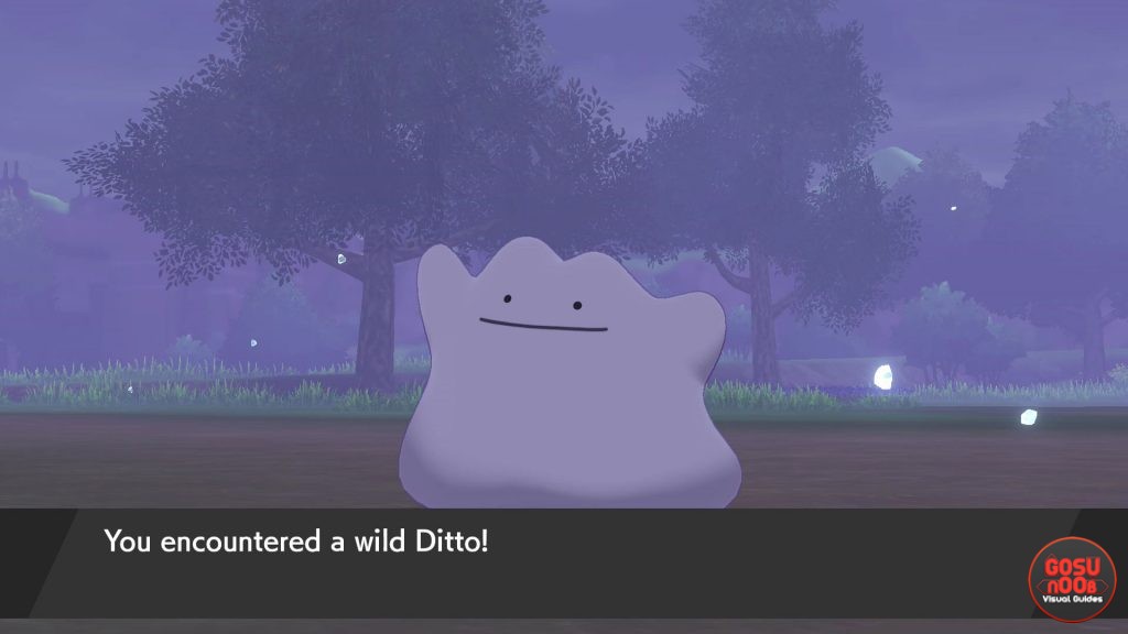 Pokemon Sword & Shield How to Increase Shiny Pokemon Chance Foreign Ditto