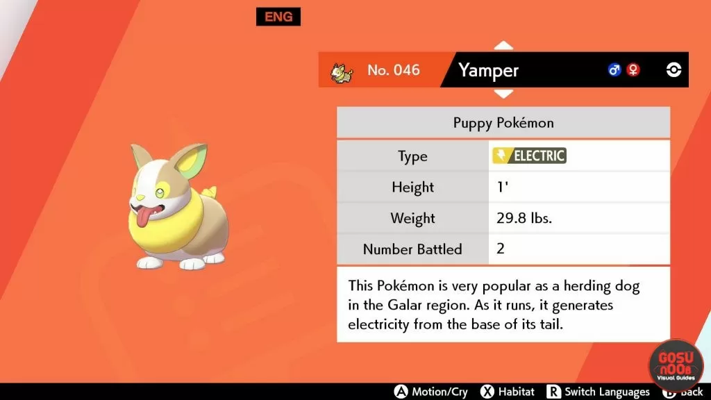 Pokemon Sword & Shield Yamper Location Boltund Evolution