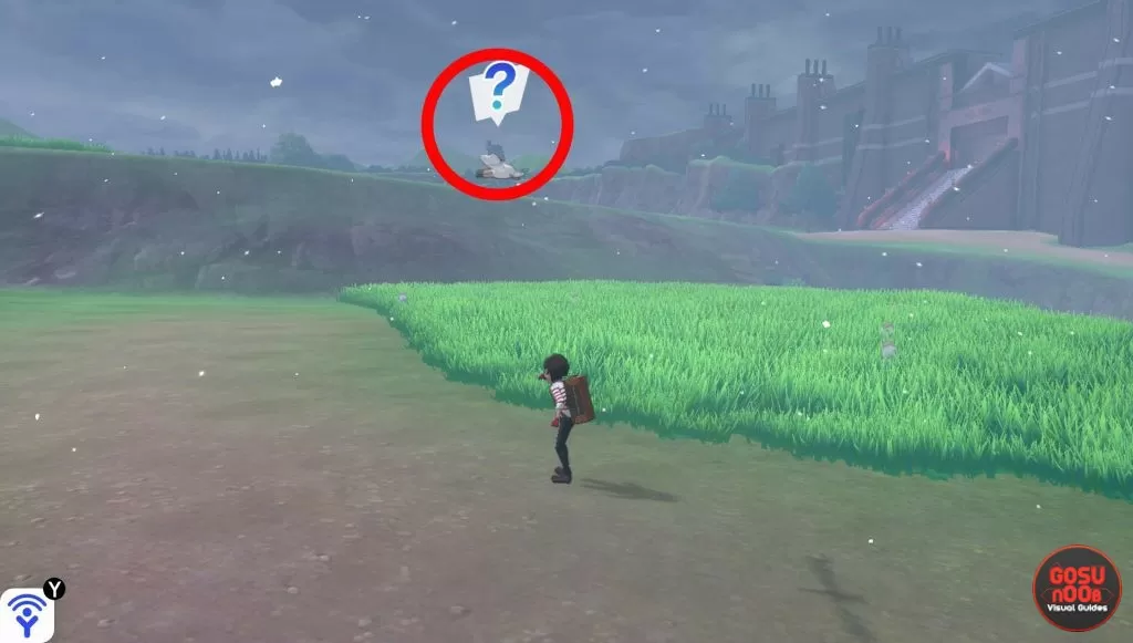 flying pokemon how to catch & fight pokemon sword shield