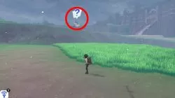 flying pokemon how to catch & fight pokemon sword shield