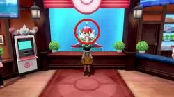 pokemon sword shield fortune teller birthday what to do