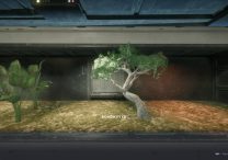 sw jedi fallen order terrarium seed locations green thumb trophy