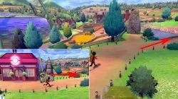 where to find nursery pokemon sword shield where to unlock breeding