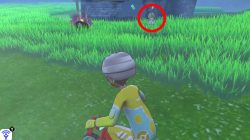 where to find ralts location pokemon sword & shield