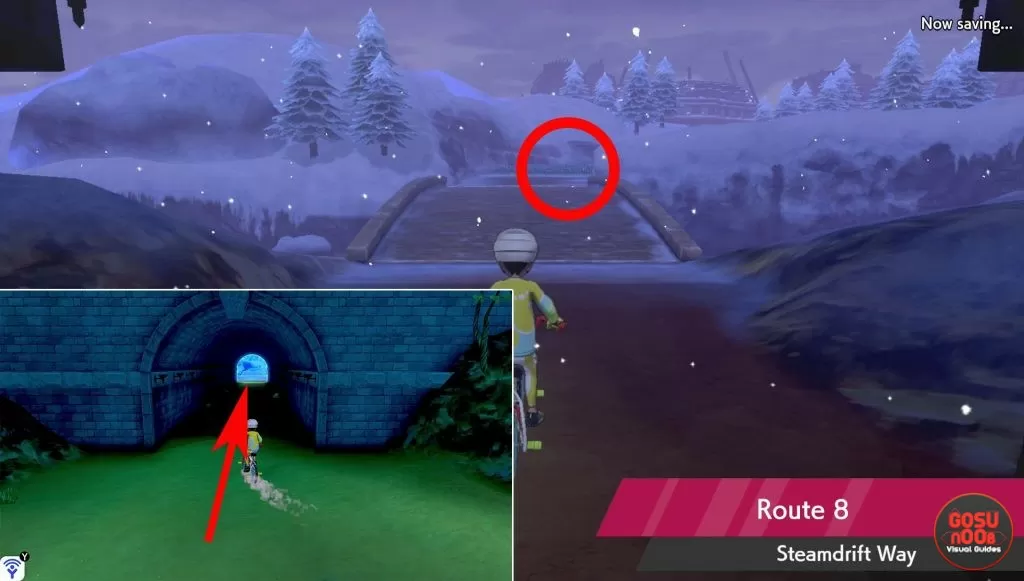 where to find snom pokemon sword shield