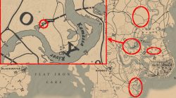 rdr2 evergreen huckleberry locations