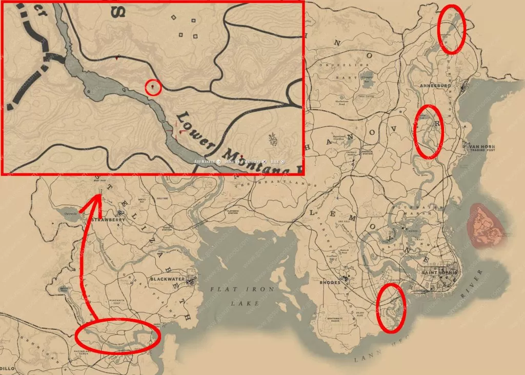 rdr2 online wild mint locations