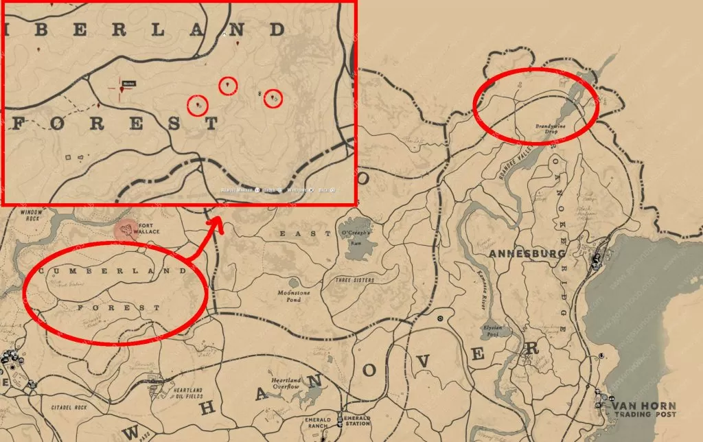 rdr2 wintergreen berry locations