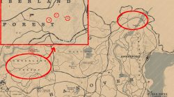 rdr2 wintergreen berry locations