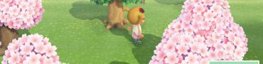 Animal Crossing New Horizons Island Tunes