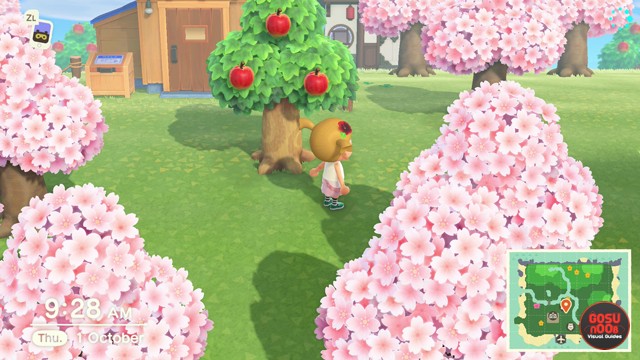 Animal Crossing New Horizons Island Tunes