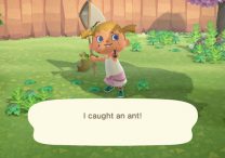 How to Capture an Ant in Animal Crossing New Horizons