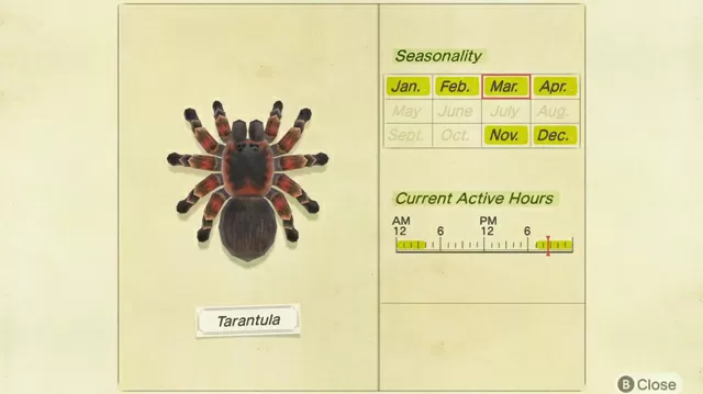 How to Catch Tarantula & Earn 8000 Bells in Animal Crossing New Horizons