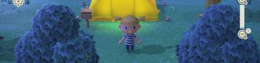 How to Use Camera & Find Pictures in Animal Crossing New Horizons