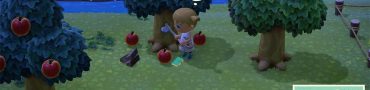 Lost Items In Animal Crossing New Horizons