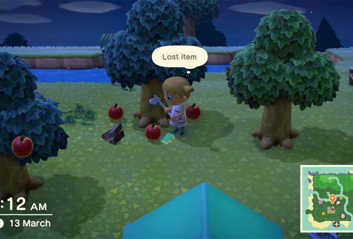 Lost Items In Animal Crossing New Horizons
