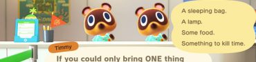 What the Opening Questions Affect in Animal Crossing New Horizons