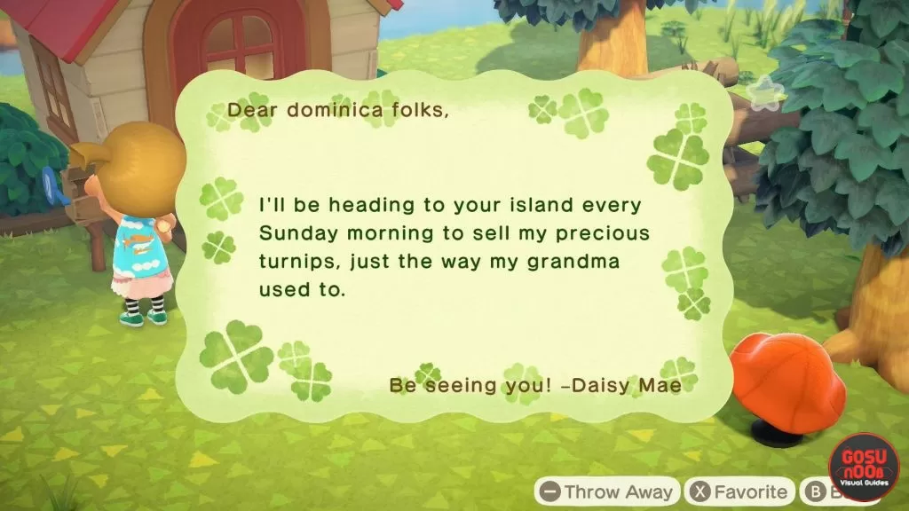 When Can I Find Daisy Mae in Animal Crossing New Horizons