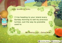When Can I Find Daisy Mae in Animal Crossing New Horizons