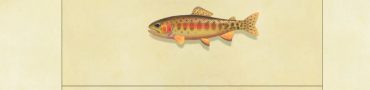 animal crossing new horizons golden trout