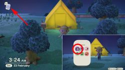 animal crossing new horizons how to use camera