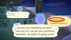 animal crossing new horizons wisp what to choose something expensive something new