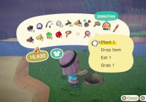 how to get different fruit for your island animal crossing new horizons