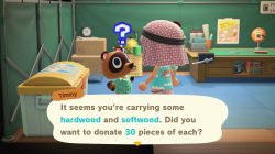 how to get second shop in animal crossing new horizons